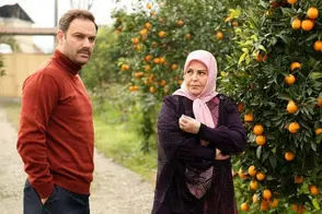 قاب پربازدید از دورهمی سه بازیگر سریال ستایش