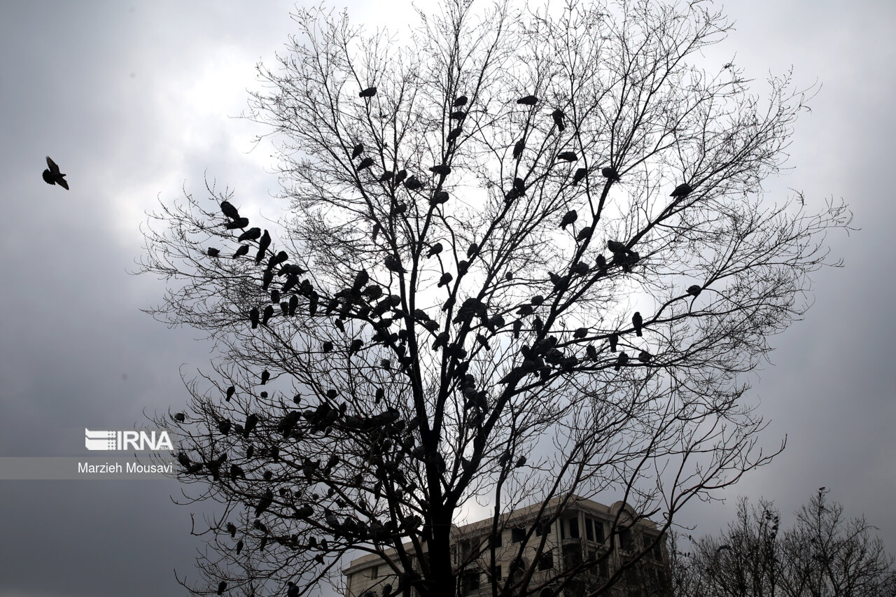 مهر امسال؛ بی‌بارش‌ترین ماه ۴۰ سال اخیر/ لزوم صرفه‌جویی در مصرف آب