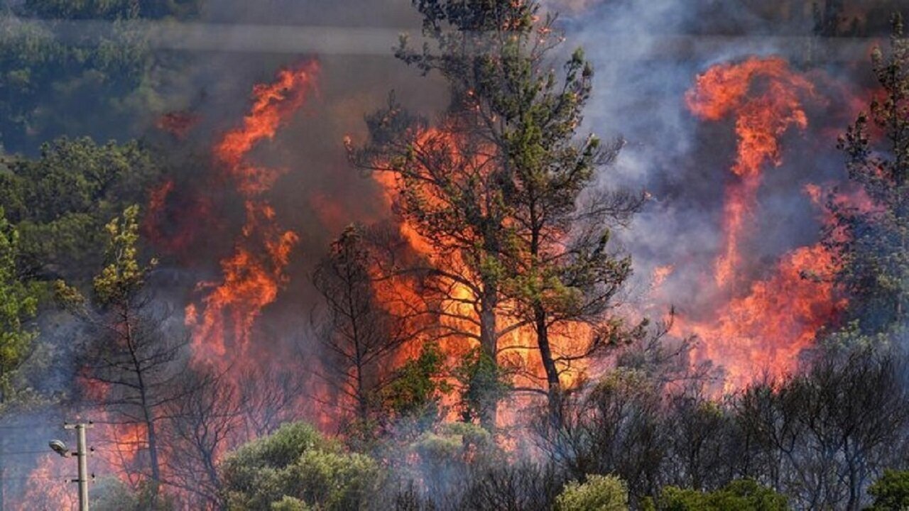 هشدار دادستان گلستان: هیچ بی‌احتیاطی در جنگل هیرکانی بدون مجازات نمی‌ماند