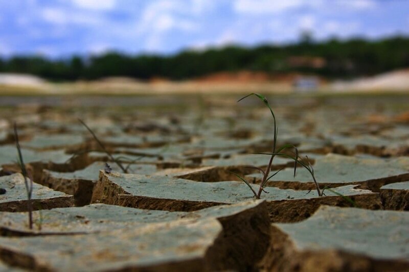 هشدار سنگین وزیر نیرو درباره بحران آبی/ هر چه مخزن بوده، تمام شده است هشدار سنگین وزیر نیرو درباره بحران آبی/ هر چه مخزن بوده، تمام شده است