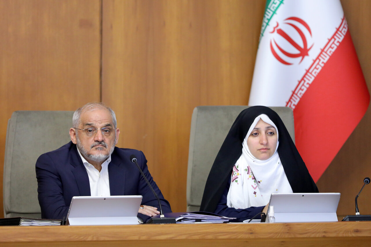 واکنش معاون زنان به زن‌کشی‌های اخیر در کشور/ در چه صورتی دولت «لایحه منع خشونت علیه زنان» را از مجلس پس نمی گیرد