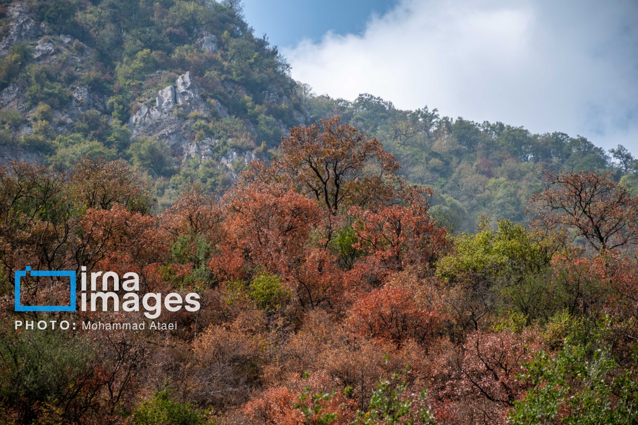وزش باد شدید مهمان ناخوانده ارتفاعات و دامنه‌های گیلان در روزهای آینده| فیلم