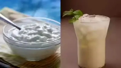 کشک یا دوغ؟ انتخاب هوشمند برای سلامت روده و آبرسانی بدن