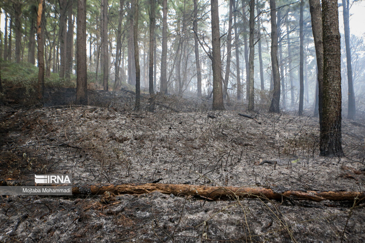 کنترل آتش در مراتع جنگلی شاهرود/ جنگل ابر آسیبی ندیده است کنترل آتش در مراتع جنگلی شاهرود/ جنگل ابر آسیبی ندیده است