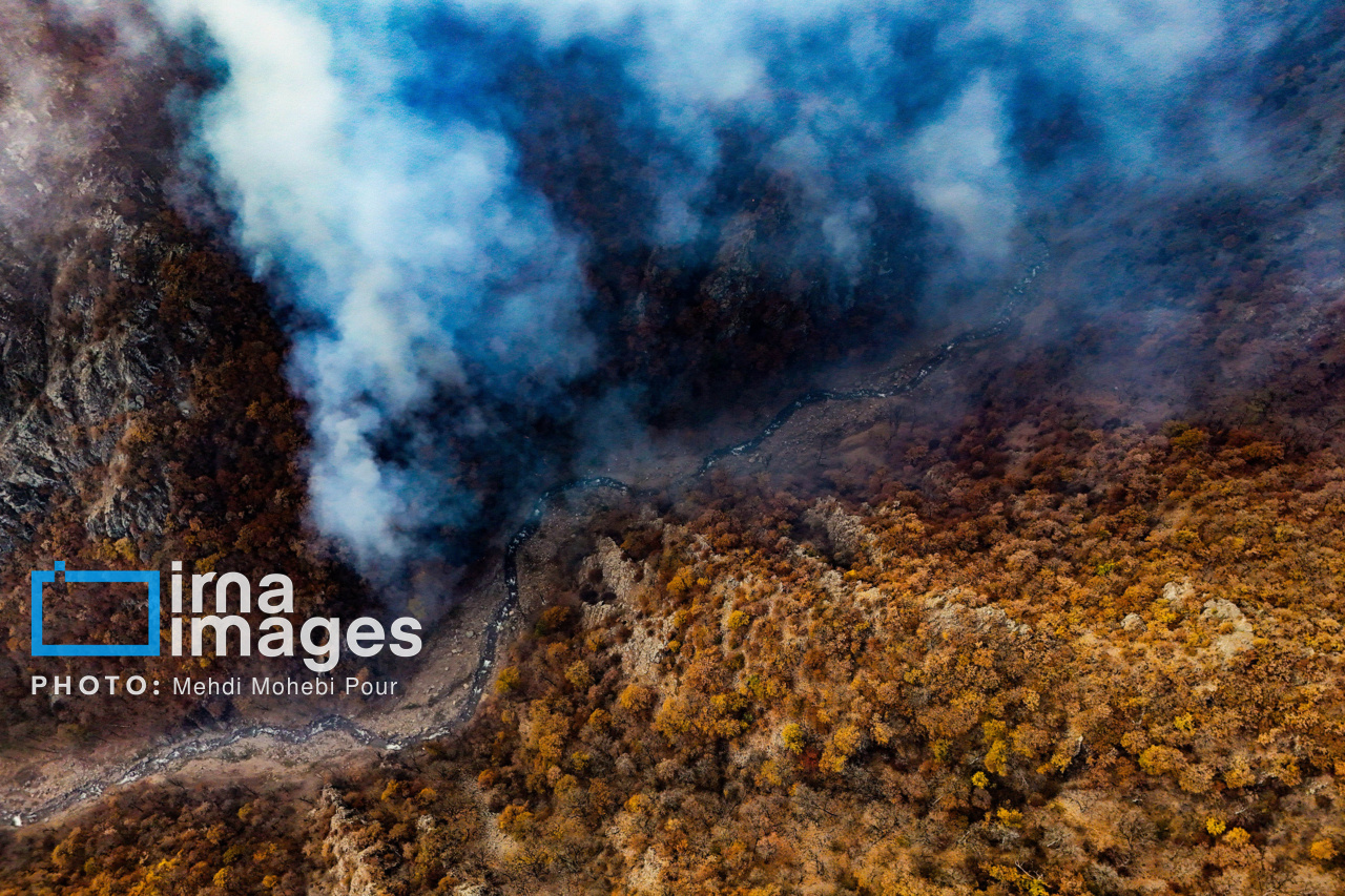۱۰ هکتار جنگل ابر شاهرود در چنگال آتش/ استمداد ۵۰ نیرو برای مهار حریق + فیلم ۱۰ هکتار جنگل ابر شاهرود در چنگال آتش/ استمداد ۵۰ نیرو برای مهار حریق + فیلم