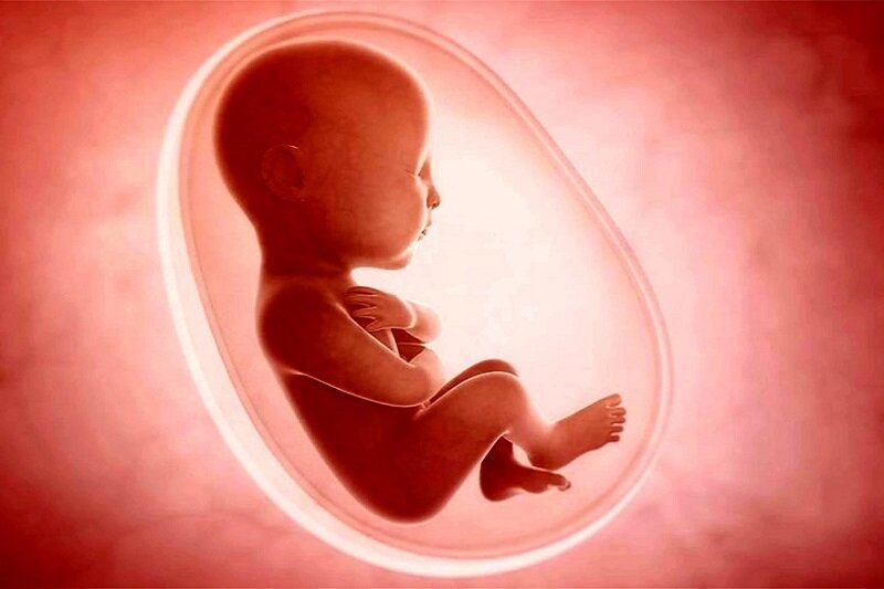 ۸۰ درصد شاکیان سقط جنین مردها هستند/ مواردی که قاضی اجازه سقط جنین قانونی نمی‌دهد