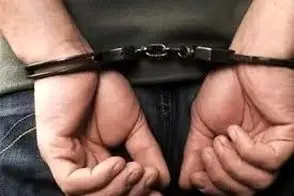 ادعای جدید و خیلی عجیب درباره مهمانی ع‌.ش/ویدیو