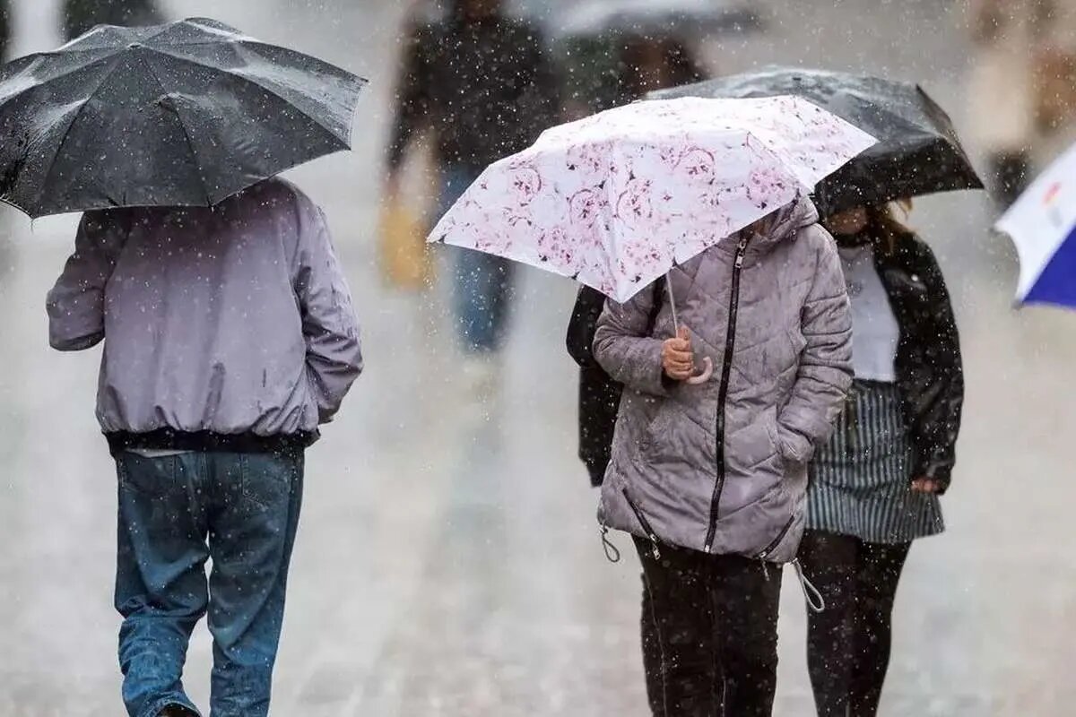 تداوم باران و برف طی هفته آینده در کشور تداوم باران و برف طی هفته آینده در کشور