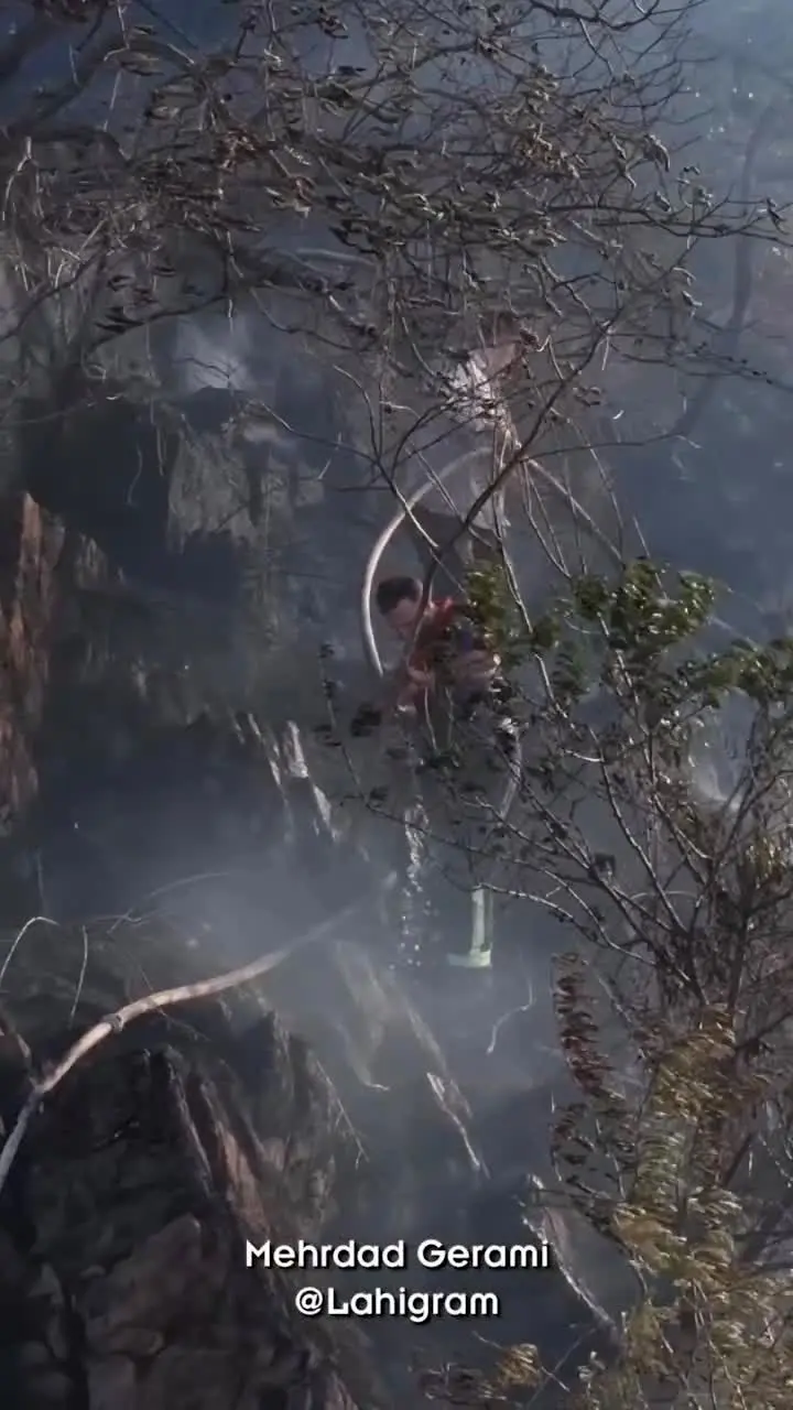 جزئیات حریق در جنگل‌های هیرکانی و اطفای آن