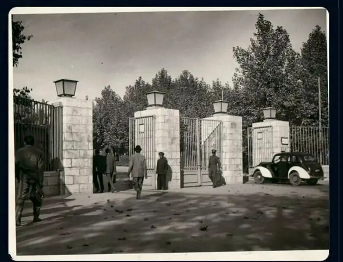 روزهای دانشجویی پزشکیان، عارف و شریعتی