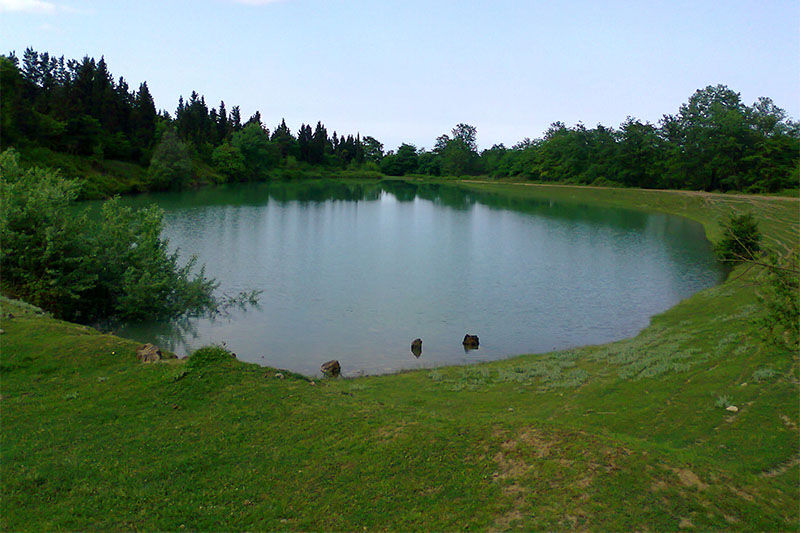 فرماندار: هزاران هکتار از اراضی کشاورزی بندرانزلی در وضعیت قرمز قرار دارد فرماندار: هزاران هکتار از اراضی کشاورزی بندرانزلی در وضعیت قرمز قرار دارد