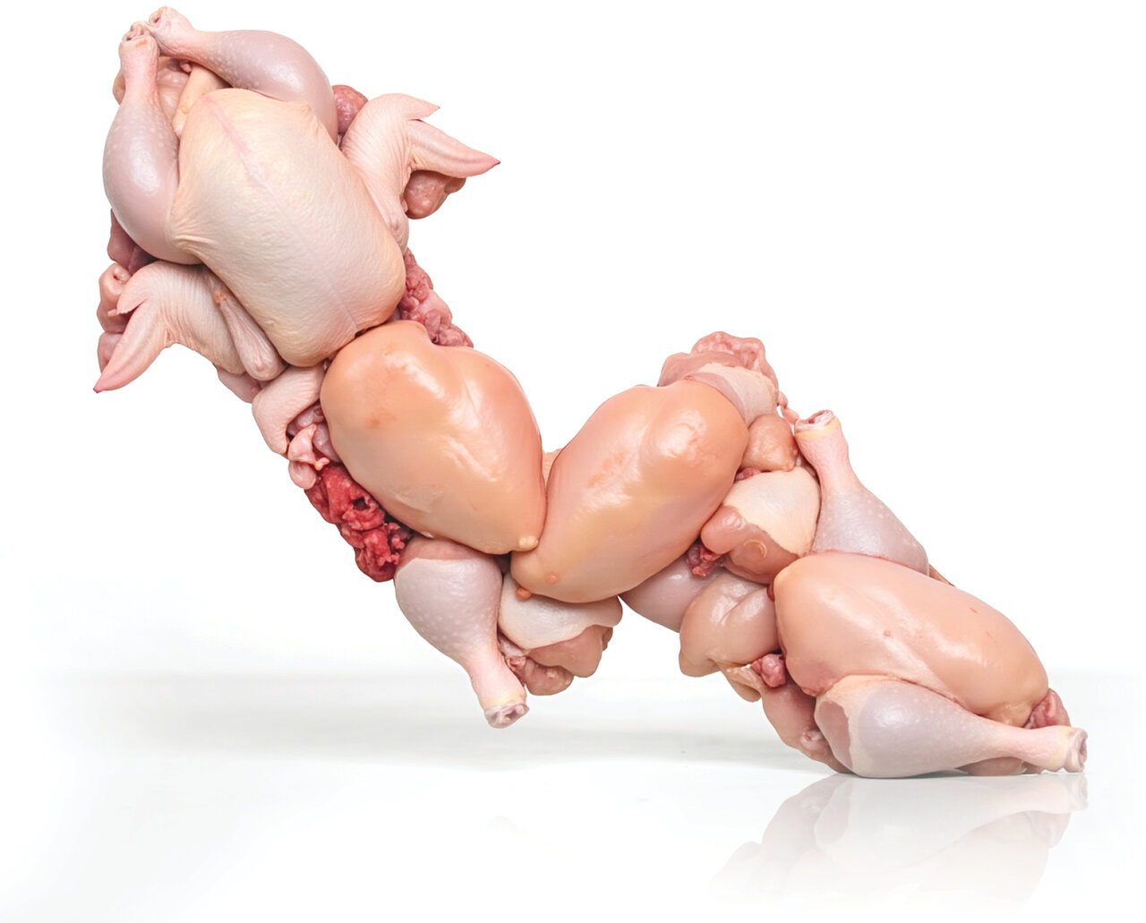 قیمت مرغ بازهم بالاتر می‌پرد؟