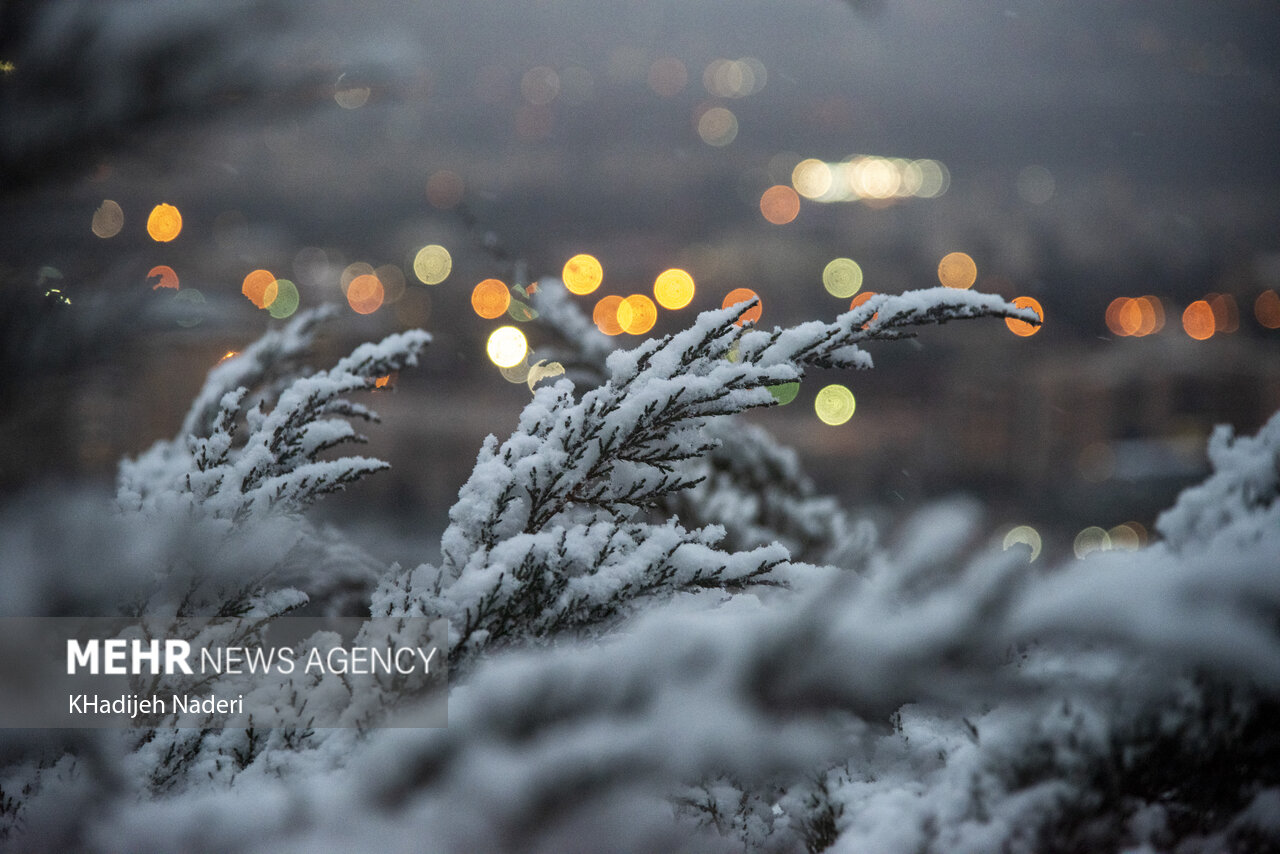 هشدار هواشناسی به ۲۵ استان؛ خسارت به محصولات کشاورزی با تشدید بارش‌ها