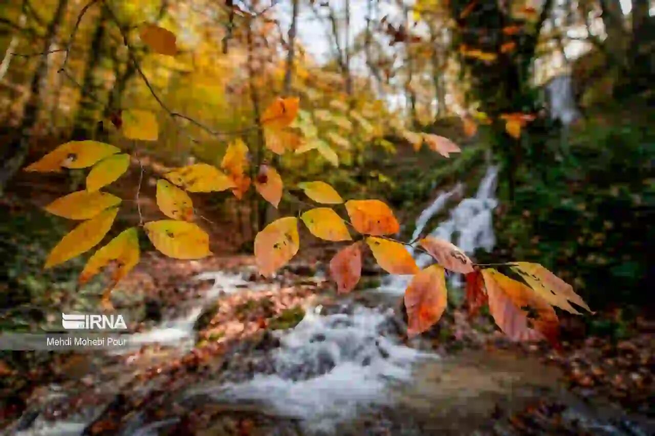 هواشناسی: هوای پایدار و آسمانی صاف در انتظار گیلان است هواشناسی: هوای پایدار و آسمانی صاف در انتظار گیلان است