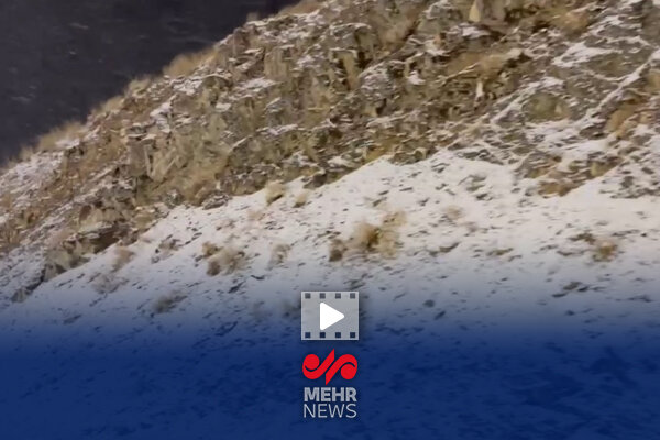 گزارش خبرنگار مهر از بارش برف در جاده چالوس گزارش خبرنگار مهر از بارش برف در جاده چالوس