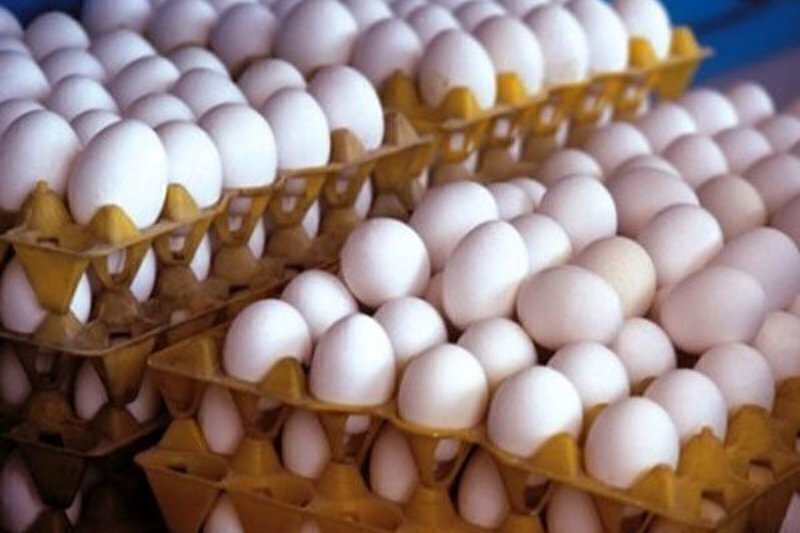 قیمت تخم‌ مرغ در ایران به قیمت دبی نزدیک شد / مگر حقوق‌ها دلاری است؟!