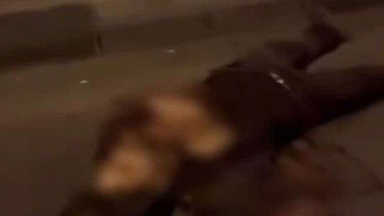 کشته شدن یک جوان در قم/ معاون استانداری: از عناصر وابسته به گروهک‌های مزدور بود/ جای تأسف دارد برخی جوانان تحت تأثیر جنگ ترکیبی دشمنان قرار می‌گیرند