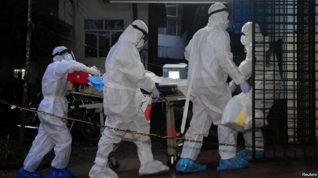 ویروس «نیپا» چیست و چقدر باید نگران آن باشیم؟ ویروس «نیپا» چیست و چقدر باید نگران آن باشیم؟