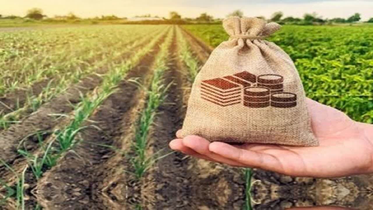 حق بیمه سهم کشاورز در قانون بودجه ۱۴۰۵ درج شد حق بیمه سهم کشاورز در قانون بودجه ۱۴۰۵ درج شد
