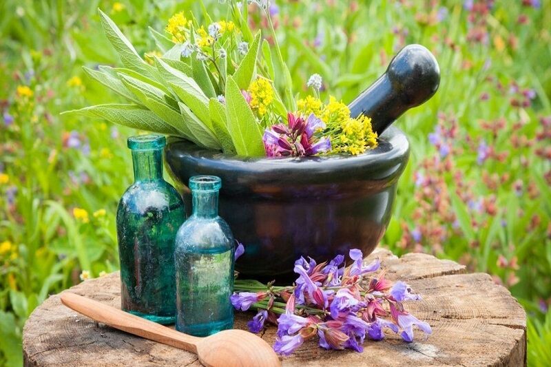 طلای سبز در دل کویر؛ هرمزگان در مسیر تحول صنعت گیاهان دارویی