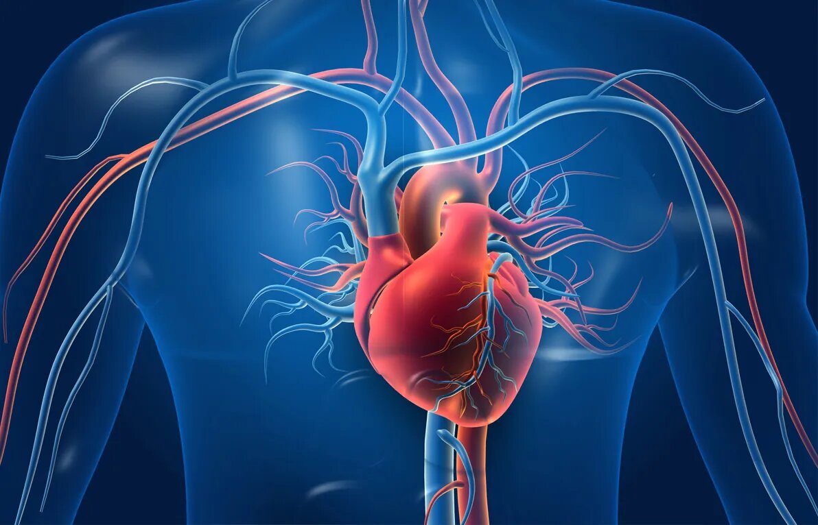 کدام دردهای قفسه سینه نشانه بیماری قلبی است؟ کدام دردهای قفسه سینه نشانه بیماری قلبی است؟