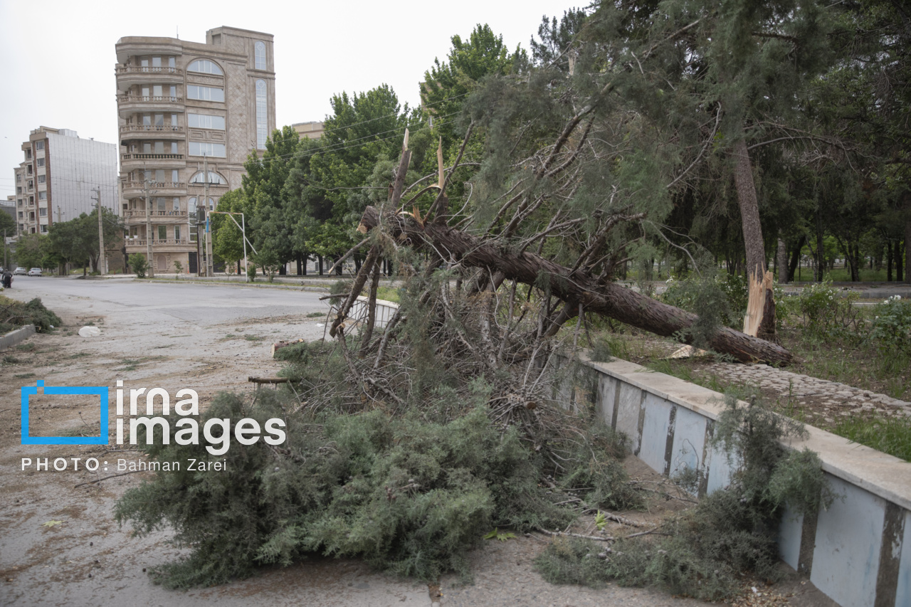 ادامه بارش‌ها و وزش باد شدید در نوار شمالی کشور