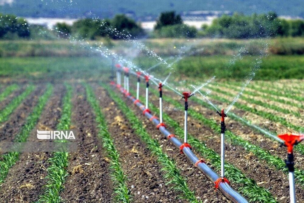 بهره‌برداری از ۲۶ پروژه جهاد کشاورزی بوشهر آغاز شد