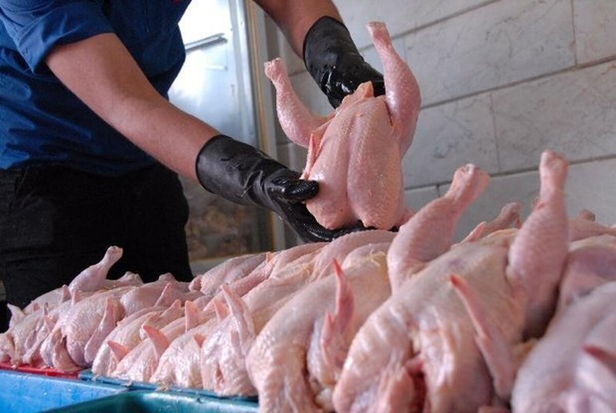 زنگ خطر در بازار مرغ / قیمت جدید گوشت مرغ گرم اعلام شد