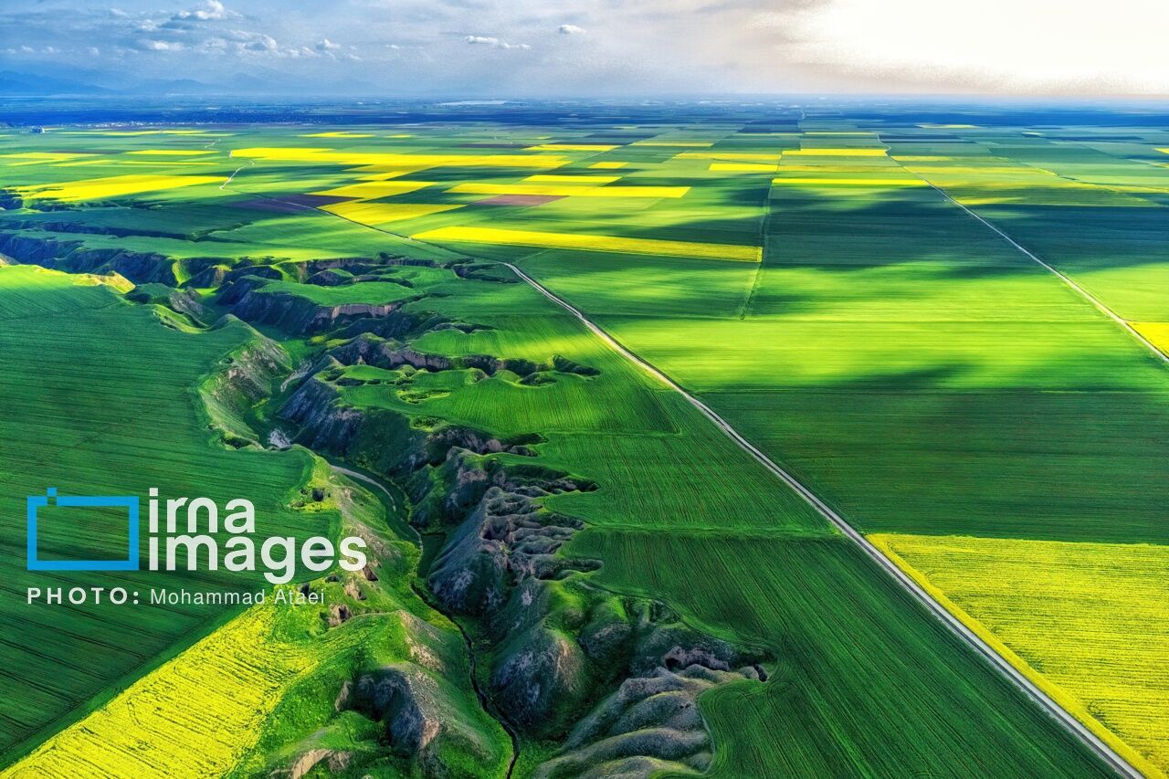 معاون وزیر صمت: مطالعات تخصصی زمین‌شناسی نقش مهمی در شناسایی فرصت‌های جدید اقتصادی دارد