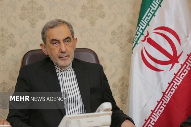 ولایتی: کربلا تا نجف عراق در وداع با امام شهید مقاومت یکپارچه شد