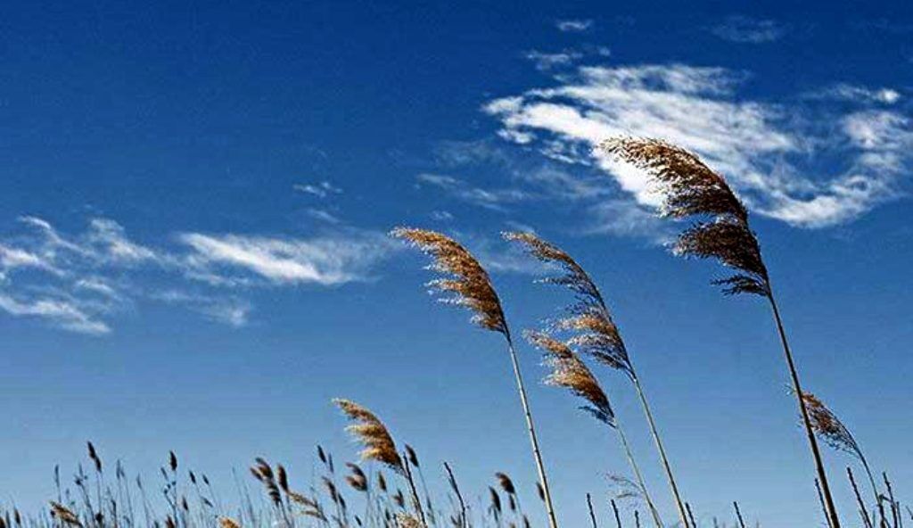 آسمان صاف و تداوم گرما در اکثر مناطق کشور 