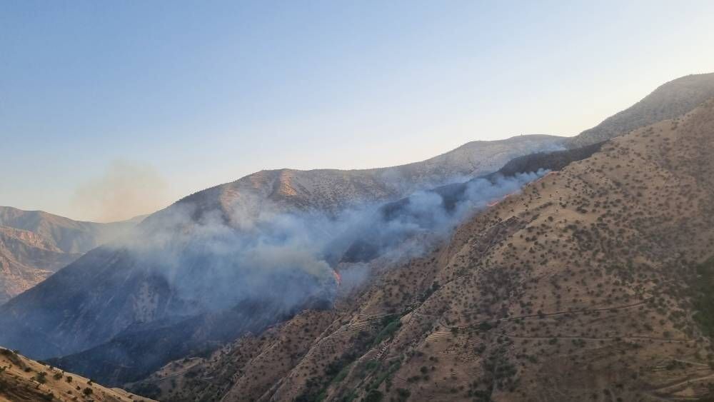 بسیج نیروها و امکانات ستاد بحران پاوه برای مهار آتش‌سوزی منطقه شیخان نوسود