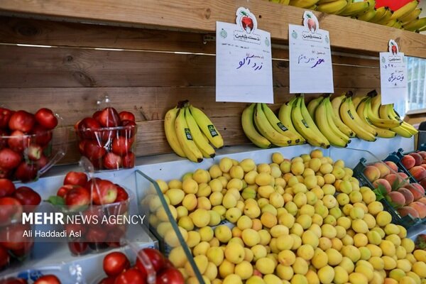 بازار قطر آماده افزایش واردات میوه از ایران بازار قطر آماده افزایش واردات میوه از ایران