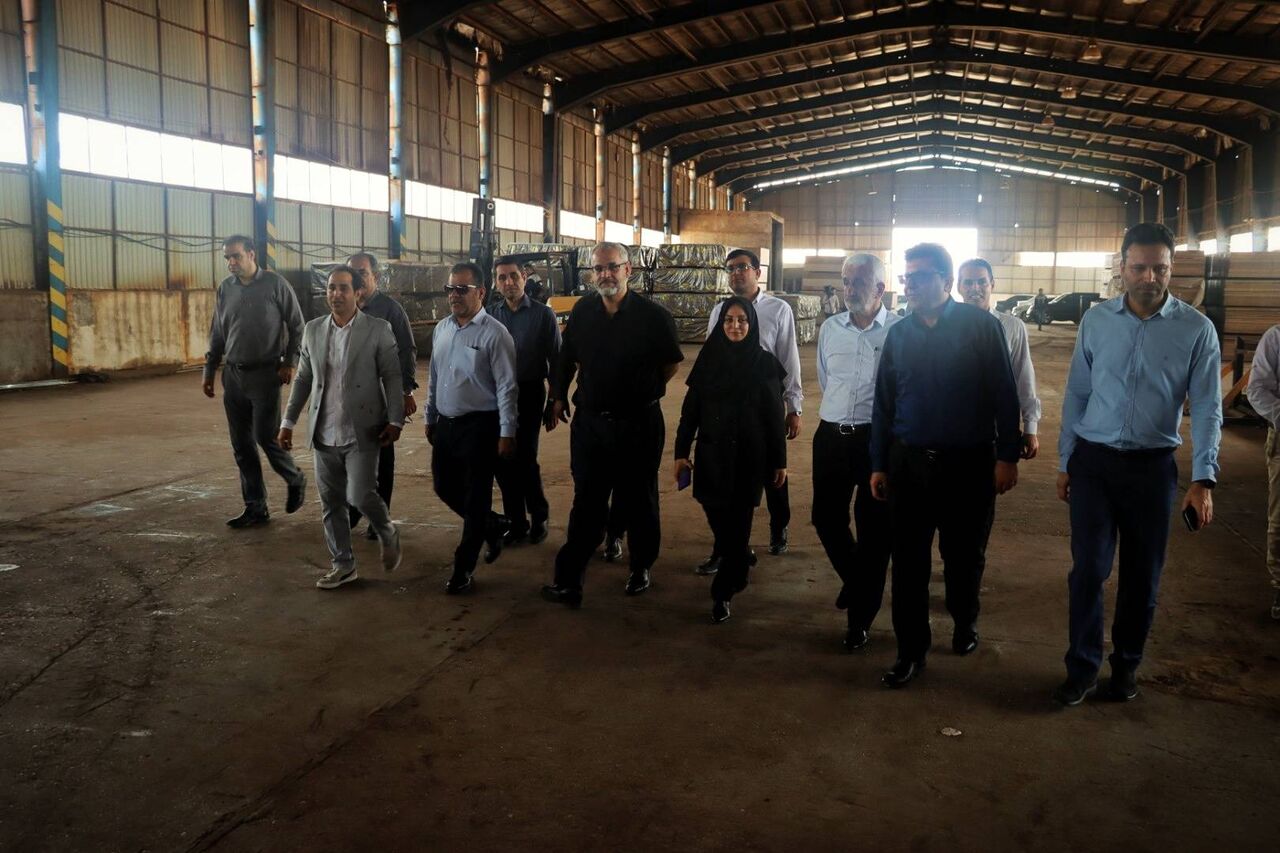 معاون وزیر:۵۲ همت تسهیلات اشتغال‌زایی به استان‌ها ابلاغ شد
